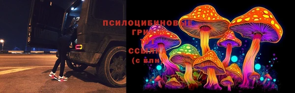 бошки Балахна