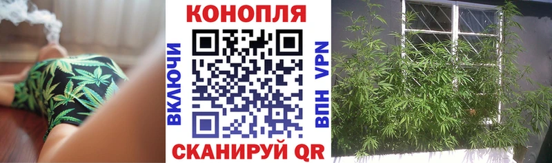 Конопля индика  как найти   Кушва 